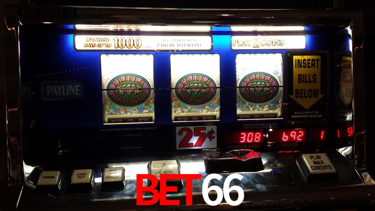Experiência VIP bet66